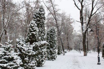 На Орловщину надвигаются морозы