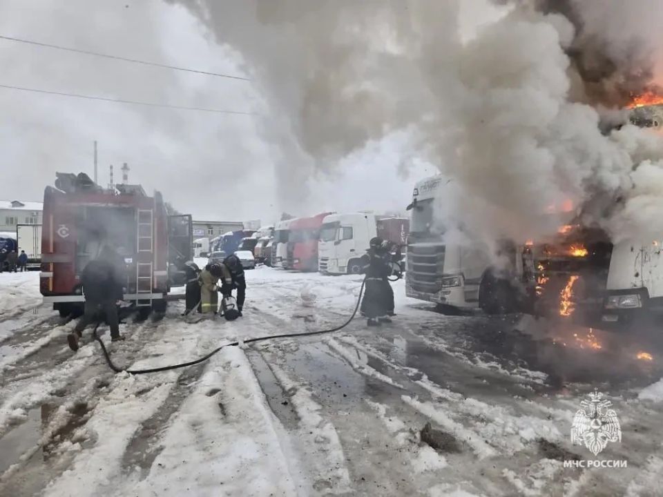 � ���� ����� �������� ����������