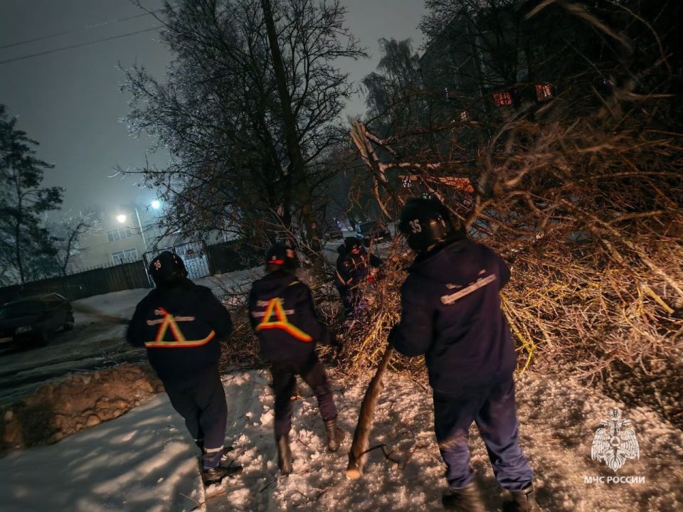 ���� ��� �� ���� ��������� ��������� ��������, ����� ������ ������� �� ������ �������