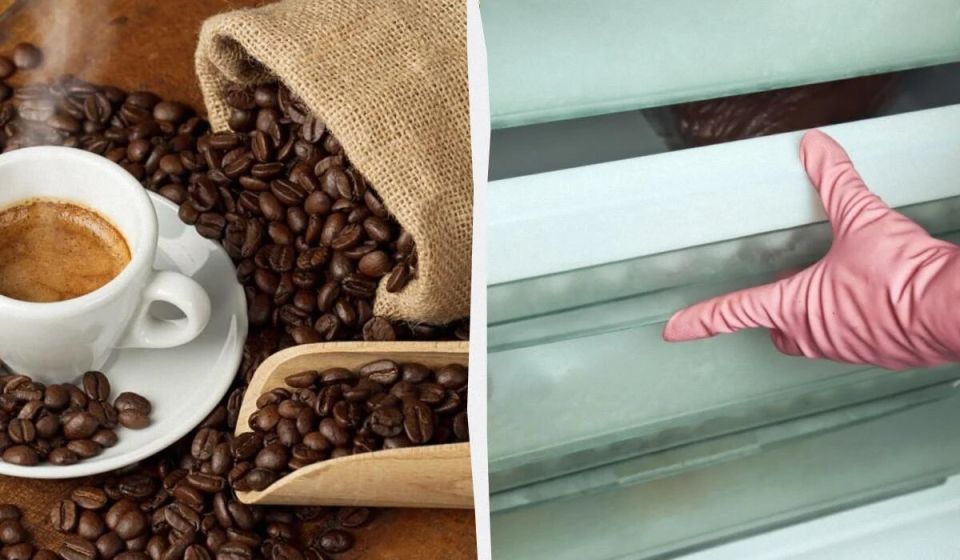 ��� ��������� �������� ����: ������� ���������� ��������