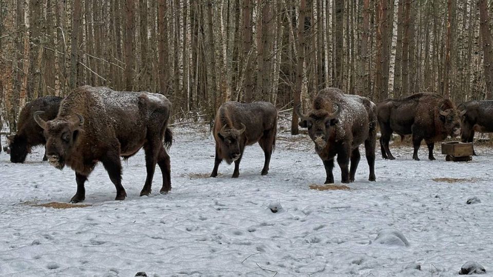 �� ��������� ������ ��������� ������