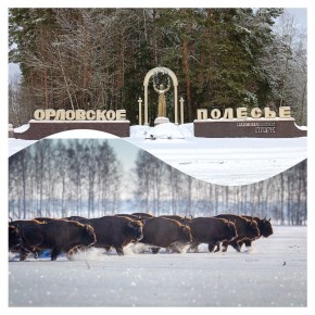 11 января в России отмечается День заповедников и национальных парков