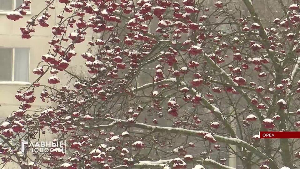 ������� ���������������� ��������� ������� � ���������� ��������� ������ �������� ���������