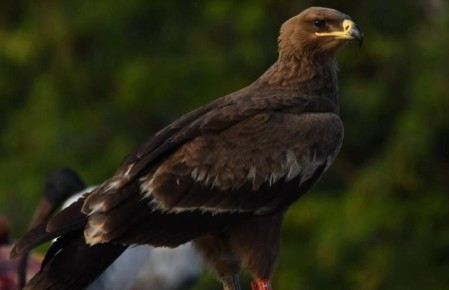 1 ������� ���� �� �������� ��������� � �����