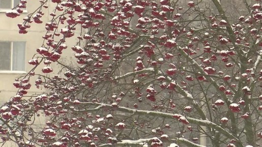 ������ �� ����� �������� �������� ������ � ��������� ������� �� ���� ������