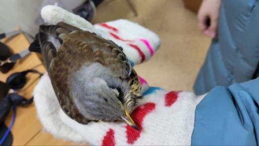 ���������� ����? ����� �������� "������� ����������" ���������� ������-��������� � ��������������� ���������