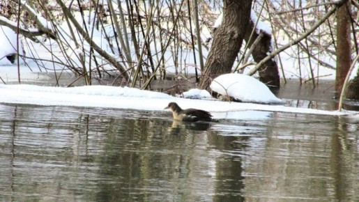 ������ ��� ��������� ��������� ������� �������� ����� �� ���