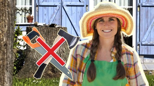 ������������� ���� �� ������� �� ��������: ��� �������� ��������� ��� � �����