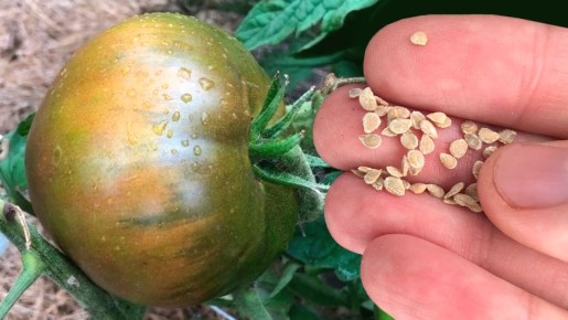 ������� ������� ����� ������ ���������: ��� �������� ������� ����� � ����