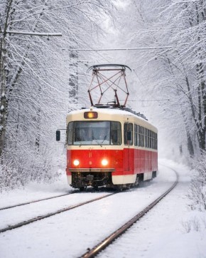 � ���� ������������� �������� ������� � 4