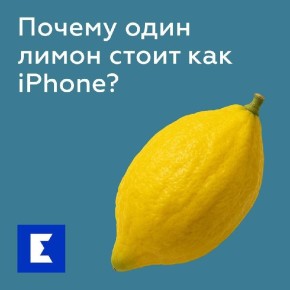 Почему этрог стоит столько, сколько iPhone?