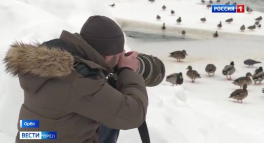 �� ��������� �������� "������ ��������"