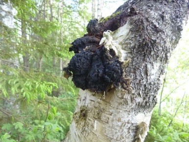 ��� �� ������� ���� � ������� �������: ������ ����������� ������� ���������