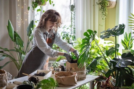 �������� ��������� ��������� ��������: ���� � ������ ��������