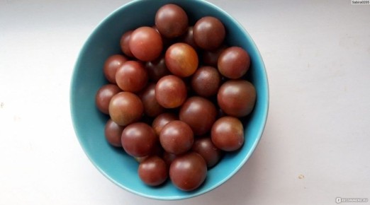 ����� ����� ���������� ������: ���������� ���� � ������ ��������� �����