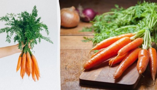 ��� ��������� ������� ������ �� 10 ����: ������� ������ �� ��������