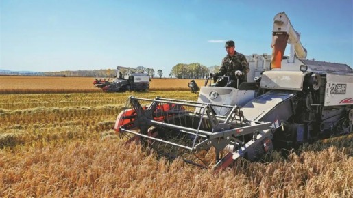 ����� ������������� ������� � �����������