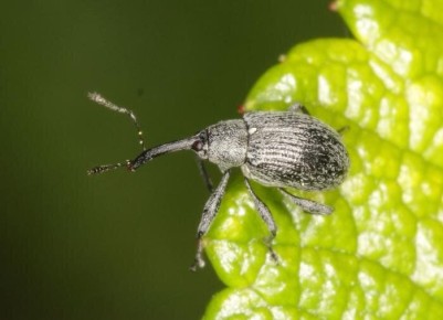 ��� ��������� ��������: ������ � ������������ � 2026 ����