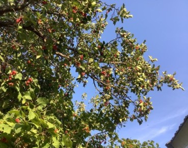 ���������� �������� �������� � ����������� � ����