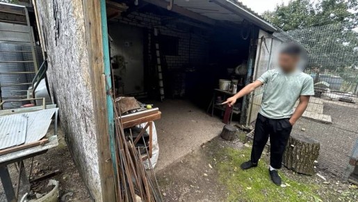 � ��������� ������� ���� ���������� ����� ������ �� ����� ����