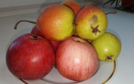 ����������� ������� ����� ������ � �������: ������ ���������