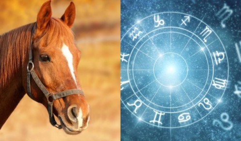 ����� �� ������ �� ����� �������: �� ��������� �� ������������