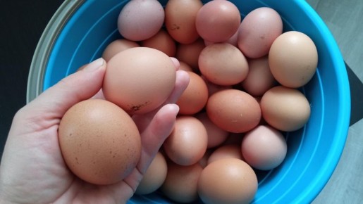 Почему многие деревенские жители не выбирают фермерскую продукцию