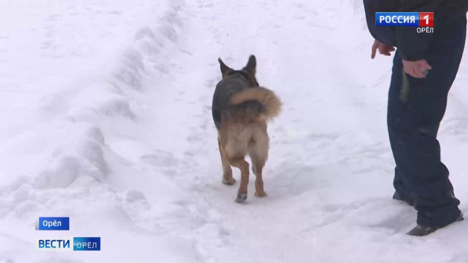 ������� ��������� ������� ��������� ������������