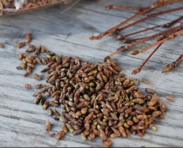 ����� � ����� �������: �������� ����� ��������