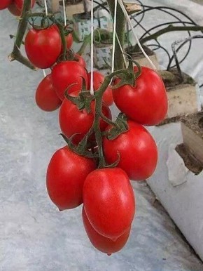 ����� �������: ��������� ������� ��� ��������� ������ ������ ����