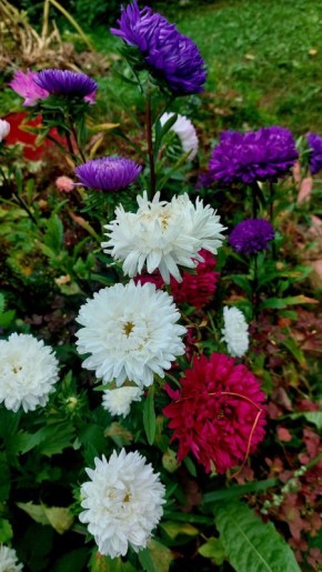 ������ ����� 2025: �������� ����� � ������� ��������