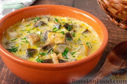 ����, ������� ������� ������� ���� � ���������� ��������� ����