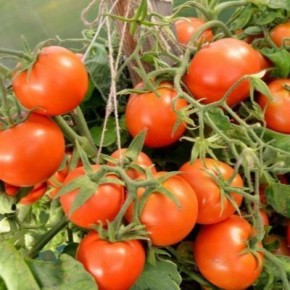 ����� �������: ������������, ������������ � ��������������� ��� ��������� ������