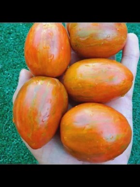 ����� ���� ������ ����: ���������� ���� � ����� ����� ��� ���������� �������