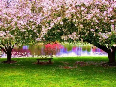 ���������� � ������: ��� ���������� �� ���������� ������