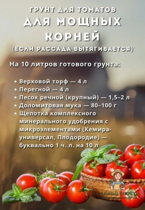 Набор грунта для рассады томатов при вытягивании: спокойное решение для мощных корней