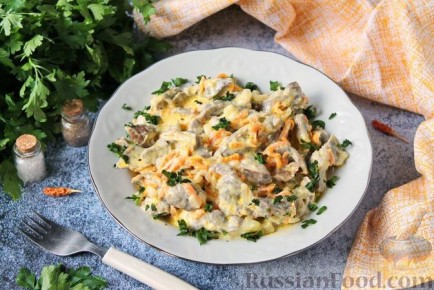 ��������� ���������������� �������: 5 ����� �������� �� �������� �24�41