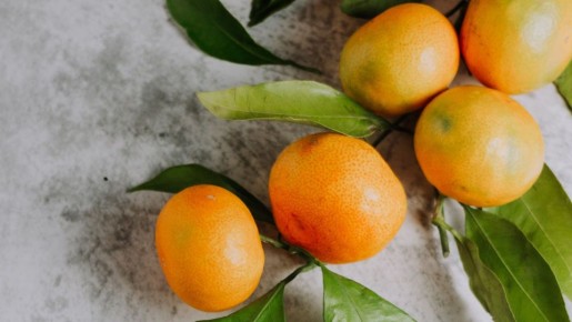 ������ ��������� �� 10 ����� ������ ����� ����: ������� ������ ���� �������