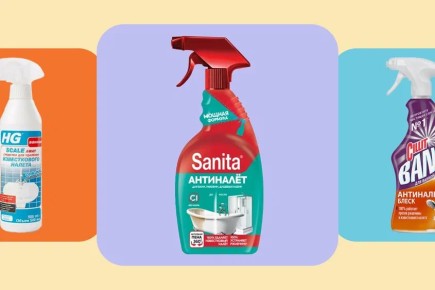 ��� �������� ����������� ����: ���-10 ����������� �������