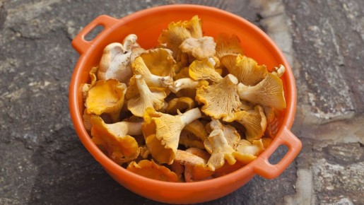 ��������� ���� ������� � ������ ���� �����: �������� ������� ���������