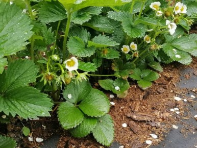 �������� � ���������: ������� ����� �� ����� �������� � ������������ ����