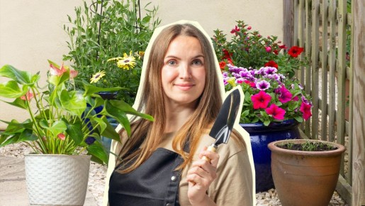 ������������� � ����������: ��� �������� ������� �������� ��� ������� �����