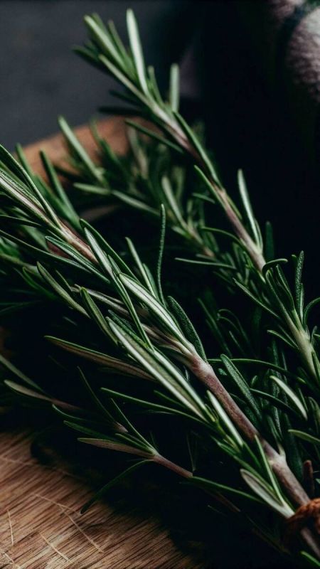 �������� ��� ���� � ������� �����������: ������� �������� � �������