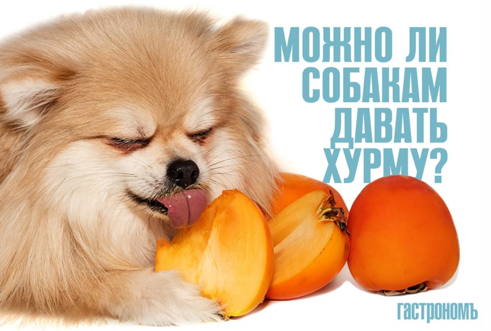 ����� ��� �����: ����� � ��� ��������� �� ������?