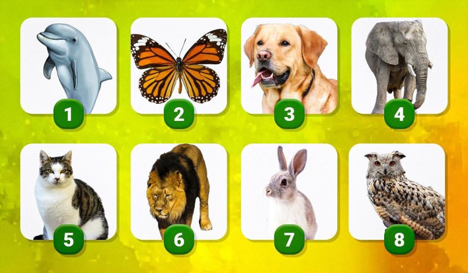 Психологический тест с тотемными животными набирает популярность в Сети