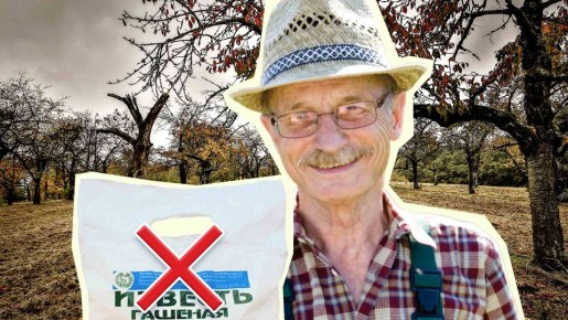 Бывалые дачники забыли об извести: почву в саду раскисляют совсем иначе