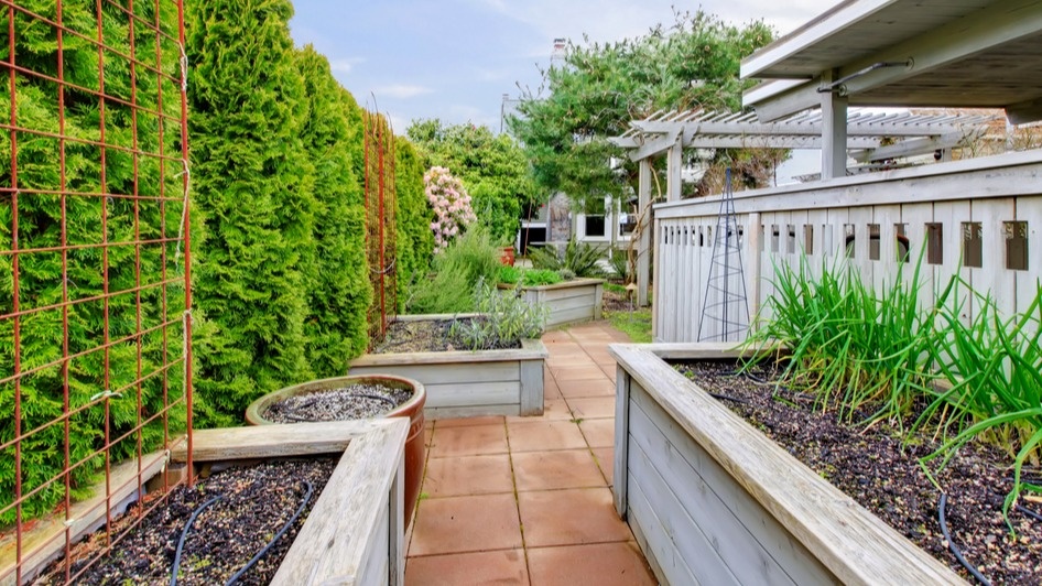 Как простота спасла урожай: неожиданная история огородника