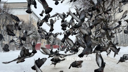 ����� ������� ����� � �������� ������ ��������������