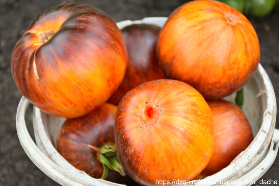 ����� ����������� �����: �������, ����� � ������������ �����