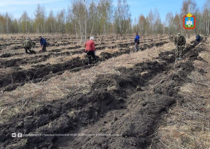 В Орловской области проводят подготовку к весенней посадке лесных культур